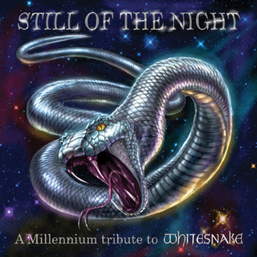 A tribute to Whitesnake (2016) - Still of the night (various artists)